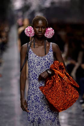 Christian Dior Womens Ready to Wear Spring Summer 2026 Fashion Show during Paris Fashion Week PFW on January 26, 2026 Christian Dior Womens Ready to Wear Spring Summer 2026 Fashion Show during Paris Fashion Week PFW on January 26, 2026 Paris France  Copyright: xAgencex xBestimagexAgencex xBestimagex