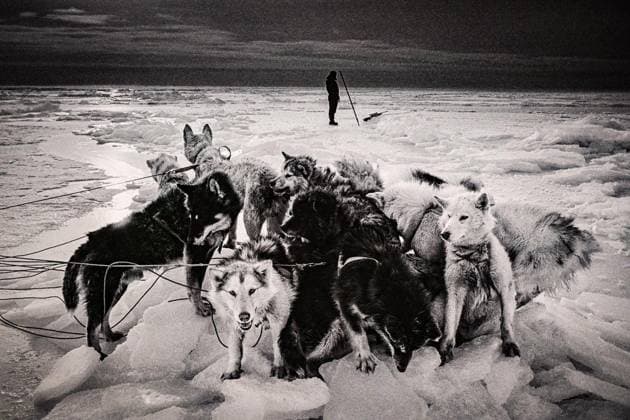 Fotograf Ragnar Axelsson ** NUR FÜR REDAKTIONELLE ZWECKE ** EDITORIAL USE ONLY **<p>Fotograf Ragnar Axelsson, Einzelausstellung Arctic Heroes Verborgene Geschichten nimmt Besucher in den Nordischen Botschaften in Berlin mit in die arktischen Eiswelten des renommierten Fotografen Ragnar Axelsson aus Island, auch bekannt unter dem Namen RAX., fotografiert am 27.01.2026 in Berlin. Berlin Berlin Berlin Copyright: MaurizioxGambarini