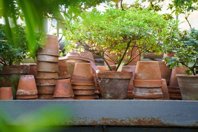 Stapel alter Keramiktöpfe für die Kultivierung von Zimmerpflanzen, Azaleenpflanze im Wintergarten oder Orangerie Stacks of old terracotta pots covered in dirt or soil after transplantation and cultivation of houseplants, azalea plants in winter garden or orangery. Used clay flowerpots in greenhouse or greenery (License=RF) Copyright: xZoonar.com DmitriixMarchenkox xEnvatox 24539204