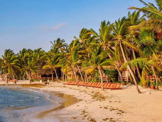 Ramons Village Resort, San Pedro Town, Ambergris Caye, Belize District, Belize Copyright: KarolxKozlowski 1245-5205