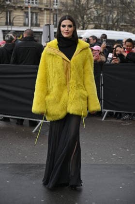 PFW Haute Couture Elie Saab Outside Arrivals Carolina Mendes arriving at Elie Saab show during Paris Fashion Week Haute Couture in Paris, France on January 28, 2026. Photo by Julien Reynaud APS-Medias ABACAPRESS.COM Paris France  Copyright: xReynaudxJulien APS-Medias ABACAx