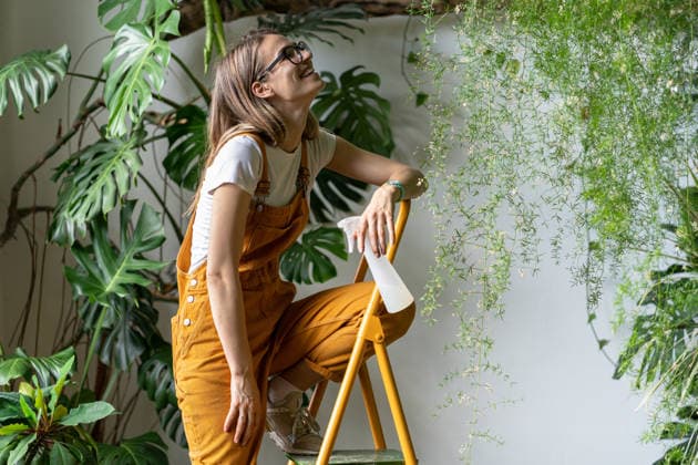 Glückliche Gärtnerin mit Sprühgerät in der Hand, lächelnd, macht eine Pause von der Arbeit, sitzt auf einer Trittleiter, trägt eine Brille und einen orangefarbenen Overall. Grünpflanzen zu Hause. Liebe zu Pflanzen. Gemütlicher Indoor-Garten. Happy gardener woman holding pulverizer spray, smiling, takes a break from work, sitting on stepladder, wearing glasses and orange overalls. Greenery at home. Love of plants. Indoor cozy garden. (License=RF) ,model released, Symbolfoto Copyright: xZoonar.com DmitriixMarchenkox xEnvatox 24552285 ,model released, Symbolfoto ,property released
