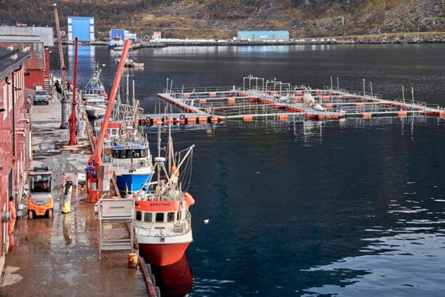 Wirtschaft, Fischerei, Aquazucht von Lachs und Meeresfrüchten im Hafen von Oksfjord Nordmeer *** Economy, fishing, aquaculture of salmon and seafood in the harbor of Oksfjord Nordmeer