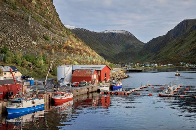 Wirtschaft, Fischerei, Aquazucht von Lachs und Meeresfrüchten im Hafen von Oksfjord Nordmeer *** Economy, fishing, aquaculture of salmon and seafood in the harbor of Oksfjord Nordmeer