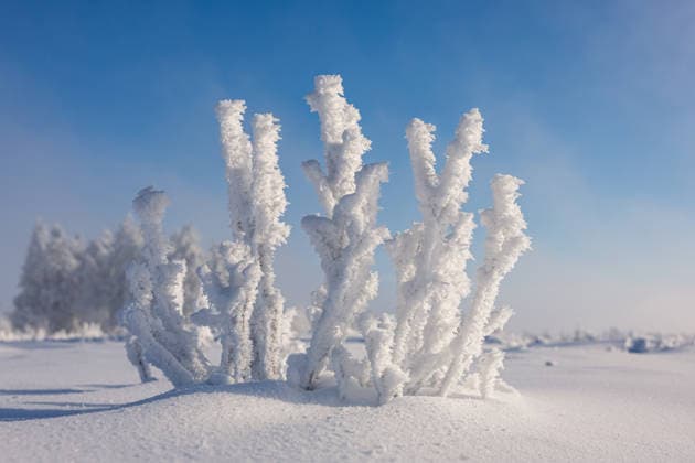 Winterwonderland auf dem Kahlen Asten am 30.01.2026 Raueis und Schnee schaffen skurrile Strukturen im sonnigen Sauerland *** Winter wonderland on the Kahler Asten on 30 01 2026 Rough ice and snow create bizarre structures in the sunny Sauerland region Copyright: xx xChantalxAndersx