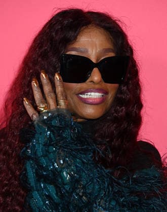 Special Merit Awards Ceremony & 68th Annual GRAMMY Nominees Reception Chaka Khan arriving to the Special Merit Awards Ceremony & 68th Annual GRAMMY Nominees Reception held at the Wilshire Ebell on January 31, 2026 in Los Angeles, Ca. Los Angeles Wilshire Ebell California USA Copyright: xTammiexArroyox xAFF-USA.comx