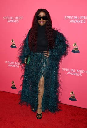 Special Merit Awards Ceremony & 68th Annual GRAMMY Nominees Reception Chaka Khan arriving to the Special Merit Awards Ceremony & 68th Annual GRAMMY Nominees Reception held at the Wilshire Ebell on January 31, 2026 in Los Angeles, Ca. Los Angeles Wilshire Ebell California USA Copyright: xTammiexArroyox xAFF-USA.comx