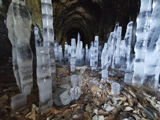 Eistürme wachsen vom Boden einer felsigen Höhle, umgeben von winterlicher Kälte, Eis Stalagmiten, Naturpark Frankenwald Ice towers grow from the bottom of a rocky cave surrounded by winter cold, ice stalagmites, Franconian Forest nature park Park Copyright: imageBROKER MarcoxBunk iblmbu16441013.jpg