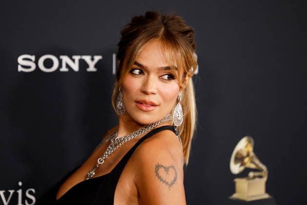 Karol G arrives on the red carpet for the Pre-Grammy Gala on the eve of the 68th Annual Grammy Awards in Los Angeles on Saturday, January 31, 2026.  LAP20260131976 CAROLINExBREHMAN