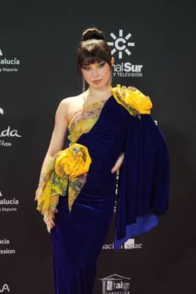 at photocall for 5 edition of Carmen awards in Granada on Saturday, 31 January 2026. Cordon Press 