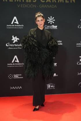 at photocall for 5 edition of Carmen awards in Granada on Saturday, 31 January 2026. Cordon Press 