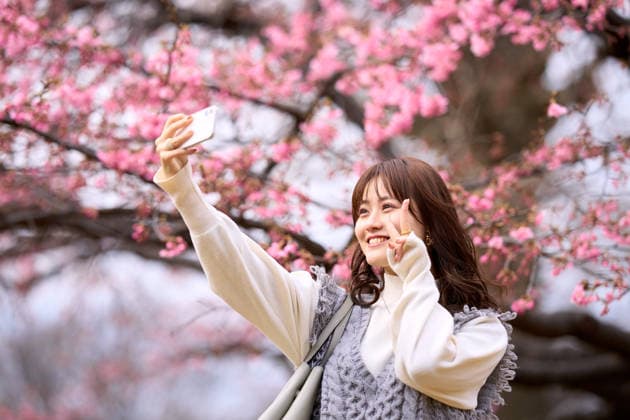 Young Asian woman taking a selfie under cherry blossoms AFLO304718935  304718935 ,model released, Symbolfoto