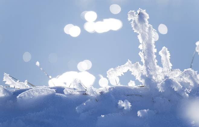 Detailaufnahme von mit Eis und Schnee bedeckten Grashalmen vor einem weichen, verschwommenen Hintergrund mit Lichtflecken, Lichtreflexe auf dem Fluss Ilmenau, Bokeh, Eiskristalle, Raureif, Reif an einem Halm, Gras, Gräser, Schneefläche, Halme, Winter, Nahaufnahme, Makroaufnahme, Makro, frostig, Frost, eisig, Close up, close-up, sonnig, Struktur, Strukturen, Detailansicht, Gegenlicht, Kälte, Natur, schimmern, Lichtpunkte, Schönheit, friedliche Szenerie, ruhige Stimmung, Niedersachsen, Deutschland Detailed view of blades of grass covered with ice and snow against a soft, blurred background with light spots, light reflections on the Ilmenau river, bokeh, ice crystals, hoarfrost, frost on a stalk, grass, snowfields, stalks, winter, close-up Copyright: imageBROKER CarolaxVahldiek ibxcva16466253.jpg