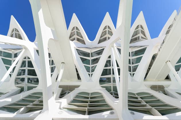 Architekturdetail des Museu de les Ciencies Principe Felipe Nahaufnahme der weißen organischen Rippenstruktur und Glasfassade des Wissenschaftsmuseums in Valencia, entworfen von Santiago Calatrava (License=RF) Copyright: xZoonar.com GerdxHarderx 24596704