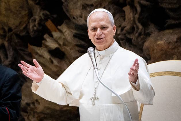 Pope Leo XIV leads his traditional Wednesday General Audience in Paul VI Audience Hall in Vatican City, Vatican, on 04 February 2026. Pope Leo XIV leads his traditional Wednesday General Audience in Paul VI Audience Hall in Vatican City, Vatican, on 04 February 2026., Credit:Stefano Costantino TTL Avalon Vatican, Vatican City  Copyright: xStefanoxCostantinoxTTLx xAvalonx 1072012460