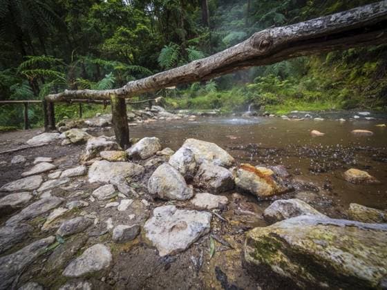 Blubberndes Wasser der heißen Quellen in Caldeira Velha, Insel Sao Miguel, Azoren, Portugal Bubbling water of the hot springs in Caldeira Velha, Sao Miguel Island, Azores, Portugal Copyright: imageBROKER PawelxOpaska ibxiqx16101429.jpg ,model released, Symbolfoto ,property released