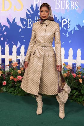Los Angeles Premiere Of Peacock s The Burbs Season 1 Keke Palmer at the Los Angeles Premiere Of Peacock s The Burbs Season 1 held at Universal Studios Lot on February 5, 2026 in Universal City, Los Angeles, California, United States., Credit:Xavier Collin Avalon USA, Universal City  Copyright: xXavierxCollinx xAvalonx 1072452335