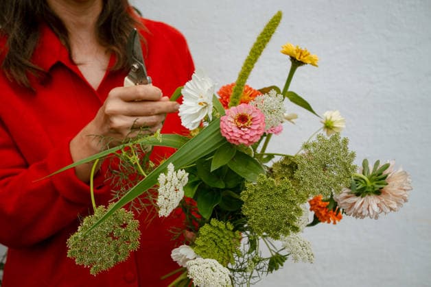 Professionelle Floristin in rotem Hemd schneidet sorgfältig Blumenstängel und kreiert einen eleganten Blumenstrauß mit Queen Annes Spitze auf makellosem weißen Hintergrund Florist wearing a red shirt carefully trimming stems and arranging a vibrant bouquet of various flowers, including queen anne s lace, against a simple white backdrop (License=RF) ,model released, Symbolfoto Copyright: xZoonar.com ElenaxShishkinax 24011475 ,model released, Symbolfoto ,property released