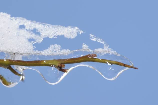 Vereister Zweig, zweig, ast, winter, frost, eis, schnee, kalt, kälte, natur, makro, close-up, blau Icy branch, branch, winter, frost, ice, snow, cold, nature, macro, close-up, blue Copyright: imageBROKER VolkerxRauch ibxiqx16360006.jpg
