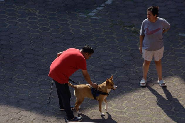 Earthquake Strikes Mexico City Families shelter their pets as they evacuate their homes after a 5.7 magnitude earthquake strikes Mexico City, Mexico, with its epicenter in Puerto Escondido, Oaxaca, on February 8, 2026. Mexico City Mexico City Mexico  Copyright: xGerardoxVieyrax originalFilename: vieyra-notitle260208_npqy0.jpg