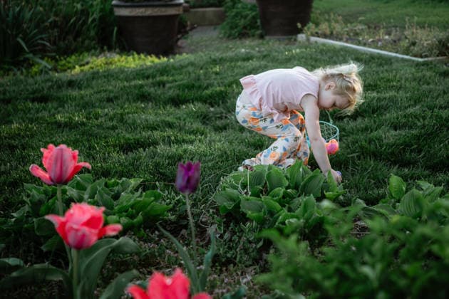 IMAGO Creative, Ostern, Bräuche, Eiersuche #2 Young girl gathering Easter eggs in yard Jackson, Missouri, United States CR_WEKW260206A-1961545-01 ,model released, Symbolfoto