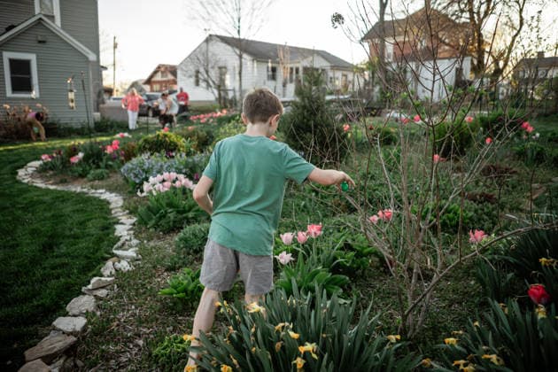 IMAGO Creative, Ostern, Bräuche, Eiersuche #2 Child hunting Easter eggs in spring garden Jackson, Missouri, United States CR_WEKW260206A-1961548-01 ,model released, Symbolfoto