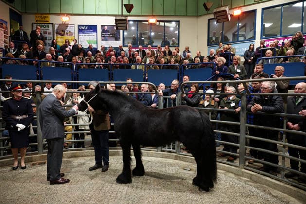 . 09 02 2026. Clitheroe, United Kingdom. King Charles III during a visit to the Clitheroe Auction Mart in Lancashire, United Kingdom.  xPoolx xi-Imagesx IIM-26557-0018