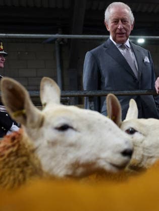 . 09 02 2026. Clitheroe, United Kingdom. King Charles III during a visit to the Clitheroe Auction Mart in Lancashire, United Kingdom.  xPoolx xi-Imagesx IIM-26557-0027