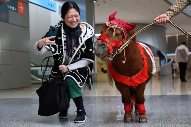 (260211) -- BEIJING, Feb. 11, 2026 -- A visitor interacts with a Shetland pony during Galloping Wonders: Year of the Horse Science & Culture Exhibition at Shanghai Science & Technology Museum in east China s Shanghai, Feb. 10, 2026. ) XINHUA PHOTOS OF THE DAY FangxZhe 