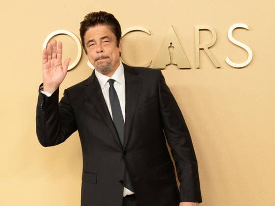 February 10, 2026, Beverly Hills, California, USA: BENICIO DEL TORO attends the 98th Oscars Nominees Luncheon at the Beverly Hilton Hotel. Beverly Hills USA  - ZUMAb173 20260210_aap_b173_067 Copyright: xBillyxBennightx