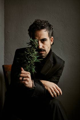 Serious businessman in black suit holding fresh cannabis plants Jaén, Andalusia, Spain CR_NNSU260210-1962300-01 ,model released, Symbolfoto