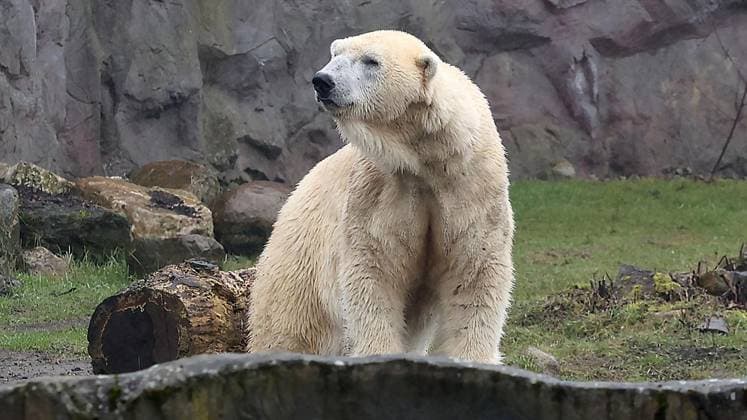 Presseführung zum Valentinstag in der ZOOM Erlebniswelt in Gelsenkirchen ** NUR FÜR REDAKTIONELLE ZWECKE ** EDITORIAL USE ONLY **<p>Presseführung zum Valentinstag am Mittwoch den 11. Februar 2026 in der ZOOM Erlebniswelt in Gelsenkirchen Foto : Frank Oppitz FUNKE Foto Services< p> Freizeit, Lifestyle Deutschland NRW Gelsenkirchen Copyright: FrankxOppitz