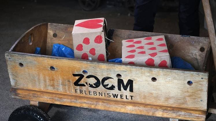 Presseführung zum Valentinstag in der ZOOM Erlebniswelt in Gelsenkirchen ** NUR FÜR REDAKTIONELLE ZWECKE ** EDITORIAL USE ONLY **<p>Presseführung zum Valentinstag am Mittwoch den 11. Februar 2026 in der ZOOM Erlebniswelt in Gelsenkirchen Foto : Frank Oppitz FUNKE Foto Services< p> Freizeit, Lifestyle Deutschland NRW Gelsenkirchen Copyright: FrankxOppitz