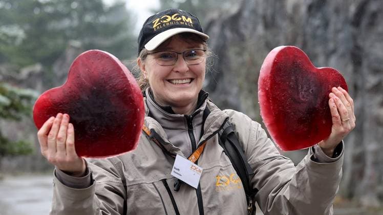 Presseführung zum Valentinstag in der ZOOM Erlebniswelt in Gelsenkirchen ** NUR FÜR REDAKTIONELLE ZWECKE ** EDITORIAL USE ONLY **<p>Presseführung zum Valentinstag am Mittwoch den 11. Februar 2026 in der ZOOM Erlebniswelt in Gelsenkirchen Foto : Frank Oppitz FUNKE Foto Services< p> Freizeit, Lifestyle Deutschland NRW Gelsenkirchen Copyright: FrankxOppitz