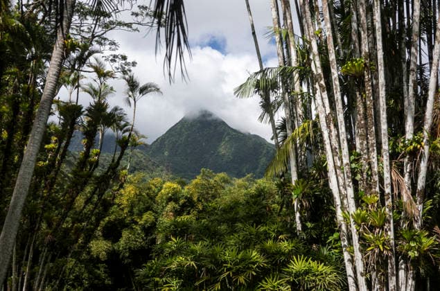 Saint-Pierre. Vulkan in Wolken. - In Wolken gehüllt ist die Spitze des noch aktiven Vulkans Montagne PelÃ e auf der französischen Karibikinsel Martinique. Beim letzten Ausbruch 1902 wurde die damalige Inselhauptstadt Saint-Pierre völlig zerstört. Fort-de-France Martinique Frankreich *** Saint Pierre volcano in clouds The tip of the still active volcano Montagne PelÃ e on the French Caribbean island of Martinique is shrouded in clouds The last eruption in 1902 completely destroyed the island capital of Saint Pierre Fort de France Martinique France