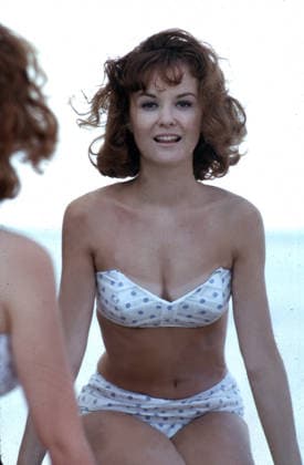 RECORD DATE NOT STATED Shelley Fabares, 1967 EDITORIAL USE ONLY  Copyright: x