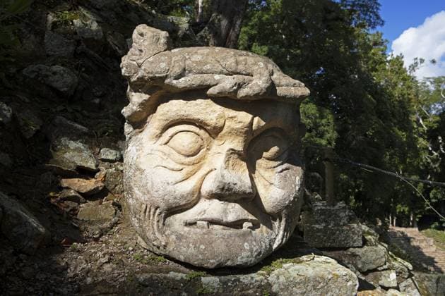 Steinskulptur in der archäologischen Stätte Copán, Ruinenstadt der Maya im Regenwald oder Dschungel, Departamento Copán, Honduras Stone sculpture in the Copán archaeological site, Mayan ruined city in the rainforest or jungle, Copán Department, Honduras Copyright: imageBROKER MartinaxKatz ibxcxb16586307.jpg