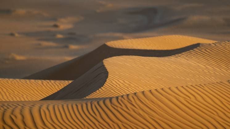 Sanddünen in der Wüste Rhub al Khali, Detailaufnahme, Empty Quarter, leeres Viertel, größte Sandwüste der Erde, Oman Sand dunes in the Rhub al Khali desert, detailed view, empty quarter, largest sandy desert in the world, Oman Copyright: imageBROKER SonjaxJordan ibxjor16413181.jpg