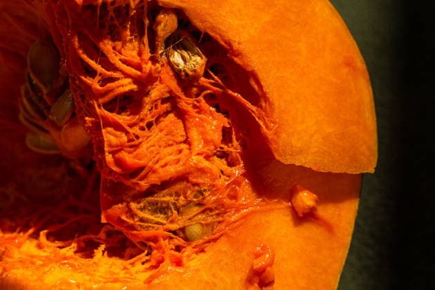 Close-up view of vibrant fresh pumpkin texture A close-up view of a bright, vibrant pumpkin showcasing its intricate texture and natural beauty. The texture highlights the freshness and color of the pumpkin flesh. Model Released Ellsy_ID32772_1115632_004 Copyright: xEllsyx