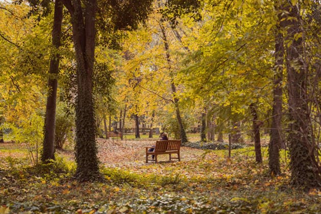 Woman sitting on a bench in a park covered with dry autumn leaves A woman sitting on a bench in a park covered with dry leaves, surrounded by trees and hedges, contemplating the beautiful autumn season surrounded by a autumnal landscape Model Released OscarParrilla_ID32763_1115378_005 Copyright: xOscarxParrillax