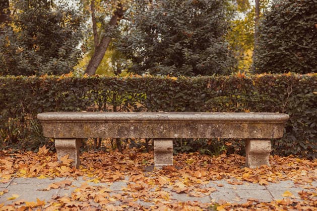 Stone bench amidst autumn leaves in a serene park Close-up of a weathered stone bench in a tranquil park setting, surrounded by dry, fallen autumn leaves. The scene evokes a quiet, reflective atmosphere of fall solitude Model Released OscarParrilla_ID32763_1115405_030 Copyright: xOscarxParrillax