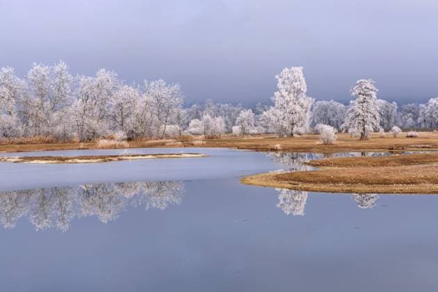 Zugefrorener Weiher und Bäume im Raureif, Naturschutzgebiet, Schoren, Mühlau, Freiamt, Kanton Aargau, Schweiz Frozen pond and trees in hoarfrost, nature reserve, Schoren, Mühlau, Freiamt, Aargau Canton, Switzerland Copyright: imageBROKER StefanxHuwiler ibxshu16481596.jpg