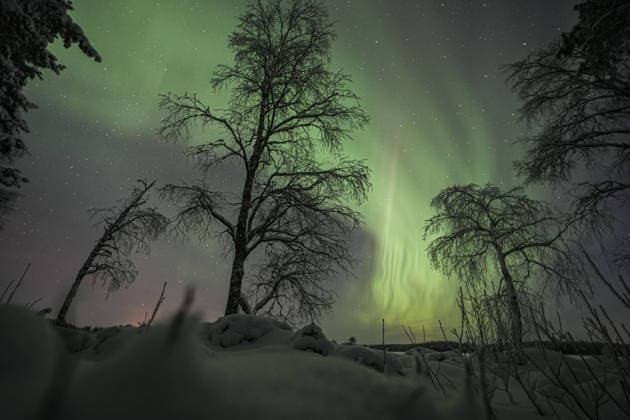 News Bilder des Tages Northern lights illuminate sky in Sweden UMEA, SWEDEN - FEBRUARY 15: The Northern Lights (Aurora Borealis), formed by the interaction between charged particles from the Sun and the Earth s magnetic field, are seen in the Backsjon area near the city of Umea in northern Sweden on February 15, 2026. Metin Aktas Anadolu Umea Sweden. Editorial use only. Please get in touch for any other usage.  Copyright: x2026xAnadoluxMetinxAktasx