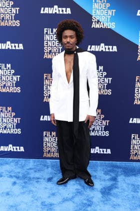 41st Annual Film Independent Spirit Awards 2026 Dewayne Perkins at the 41st Annual Film Independent Spirit Awards 2026 held at the Hollywood Palladium on February 15, 2026 in Hollywood, Los Angeles, California, United States., Credit:Xavier Collin Avalon USA, Hollywood  Copyright: xXavierxCollinx xAvalonx 1075364771