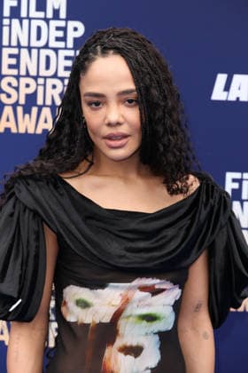 41st Annual Film Independent Spirit Awards 2026 Tessa Thompson at the 41st Annual Film Independent Spirit Awards 2026 held at the Hollywood Palladium on February 15, 2026 in Hollywood, Los Angeles, California, United States., Credit:Xavier Collin Avalon USA, Hollywood  Copyright: xXavierxCollinx xAvalonx 1075392367