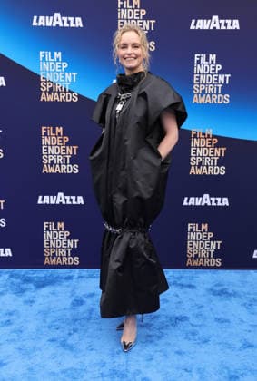 2026 Film Independent Spirit Awards at Hollywood Palladium Featuring: Nina Hoss Where: Los Angeles, California, United States When: 15 Feb 2026 Credit: Faye s Vision Cover Images EDITORIAL USE ONLY. NOT FOR USE BY NEWSPAPERS BASED IN THE UK. Copyright: xx coverimg55474468