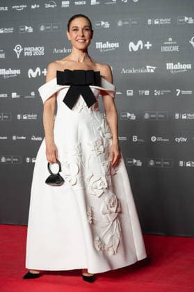 February 16, 2026, Madrid, Spain: Raquel Sanchez Silva attends the red carpet of the Iris Awards at the Teatro Real in Madrid. Madrid Spain  - ZUMAs197 20260216_aaa_s197_186 Copyright: xAtilanoxGarciax