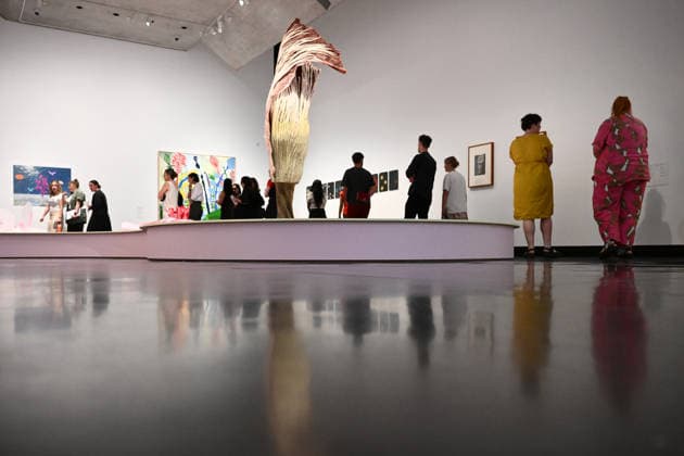 A VELVET ANT A FLOWER AND A BIRD PREVIEW, Guests view works by Ingela Ihrman on display during a preview of A Velvet Ant, A Flower And A Bird an exhibition curated Chus Martinez at the Potter Museum of Art, Melbourne, Tuesday, February 17, 2026. ( NO ARCHIVING MELBOURNE VICTORIA AUSTRALIA  Copyright: xAAPxIMAGEx 20260217111136591710