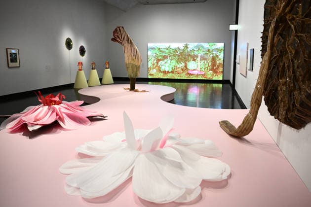 A VELVET ANT A FLOWER AND A BIRD PREVIEW, Works by Ingela Ihrman on display during a preview of A Velvet Ant, A Flower And A Bird an exhibition curated Chus Martinez at the Potter Museum of Art, Melbourne, Tuesday, February 17, 2026. ( NO ARCHIVING MELBOURNE VICTORIA AUSTRALIA  Copyright: xAAPxIMAGEx 20260217183586247527