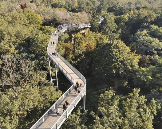 Luftaufnahme eines gewundenen Baumwipfelpfads, von Menschen in Herbstfarben besucht, Beelitzer Heilstätten, Brandenburg Aerial view of a winding treetop trail visited by people in autumn colors, Beelitzer Heilstätten, Brandenburg Copyright: imageBROKER MarcoxBunk iblmbu16704319.jpg